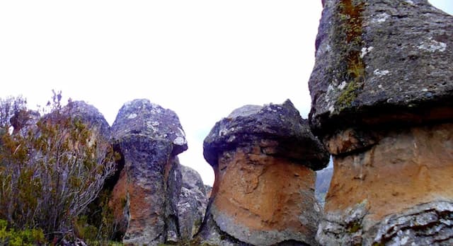 Floresta de Pedras de Huaraca