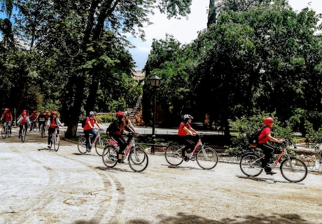 Tour Madrid en Bicicleta