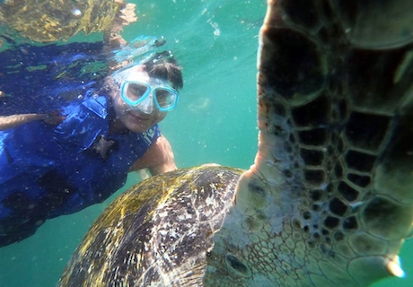 Swimming with Turtles and Punta Veleros Beach
