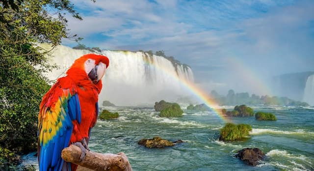 Cataratas do Iguaçu Brasil e Parque das Aves